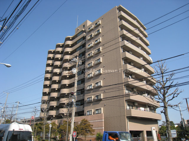 0191-1101画像