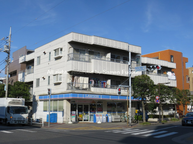 3195-0106画像