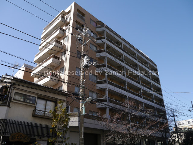 0131-0506画像
