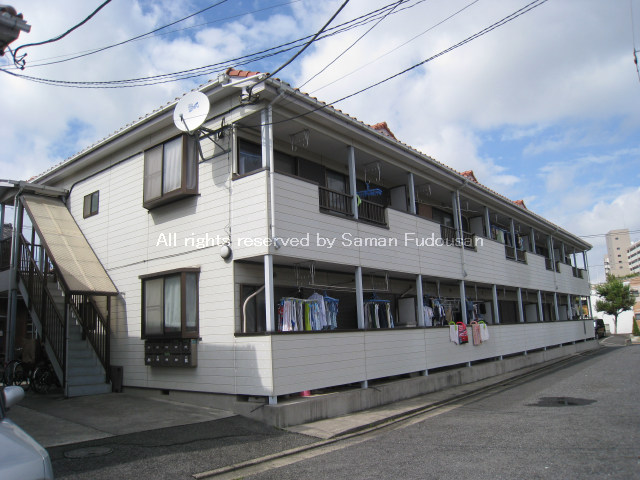 0116-0205画像