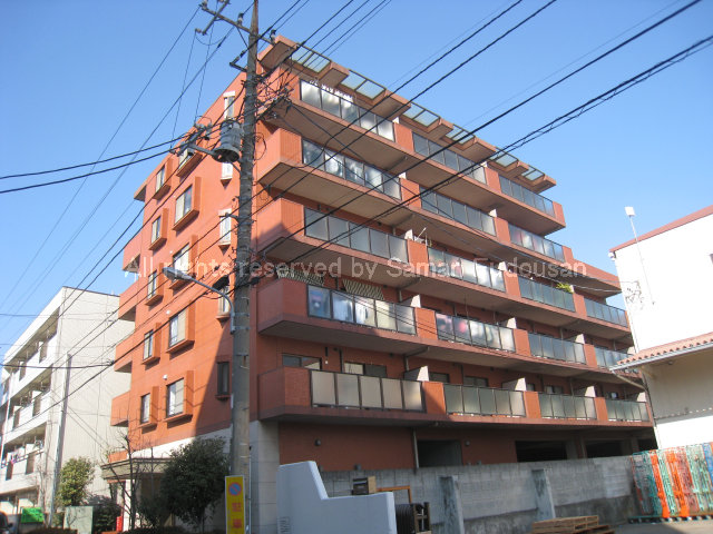 0047-0501画像