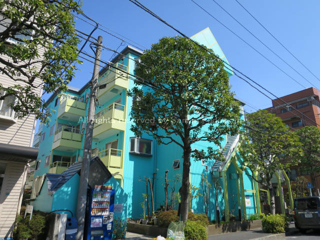 外観（南西向き）